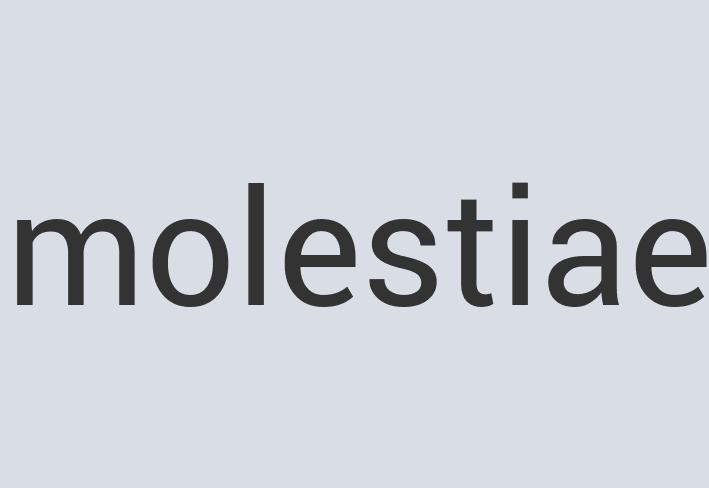 Enormous Plastic Boltonic