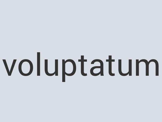 Practical Copper Advertis Miss